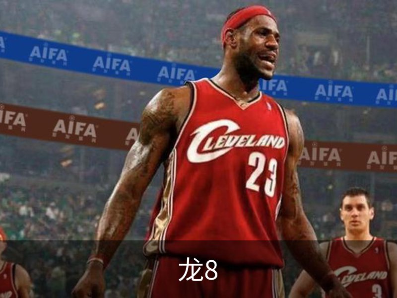 关于龙8